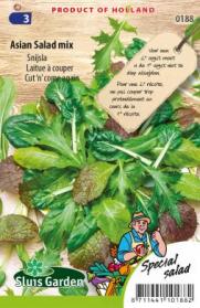 asian-salad_mix