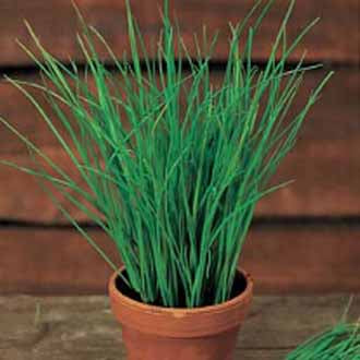 Product showcase image from staged upload