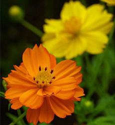 Product showcase image from staged upload