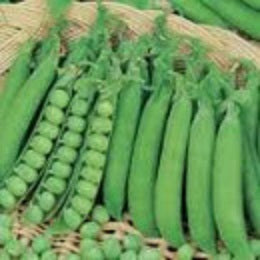 Product showcase image from staged upload