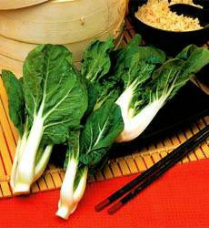 Pak Choi Ivory F1