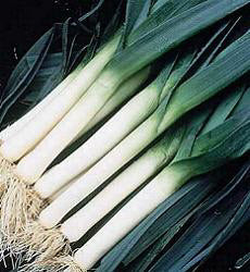 Prei h Bluegreen Herfst Porbella