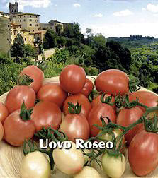 Tomaten cocktailtomaat Pink Thai Egg / Uova Roseo