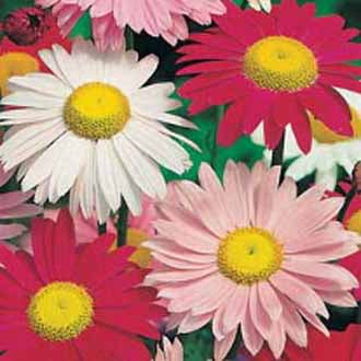 Product showcase image from staged upload