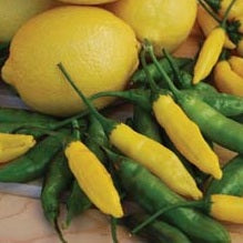 Peper Lemon