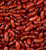 Bonen Stam droogboon Canadian Wonder