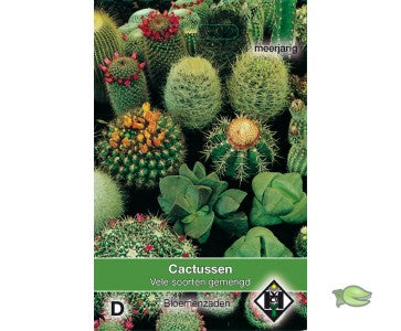 Product showcase image from staged upload