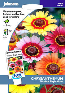 Product showcase image from staged upload