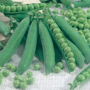 Product showcase image from staged upload