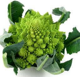 Bloemkool of Romanesco