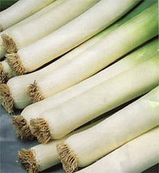 Prei h Carentan 3 BIO