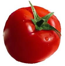 Tomaten vleestomaat Pyros F1