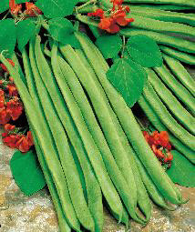 Product showcase image from staged upload