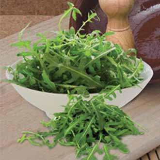 Product showcase image from staged upload