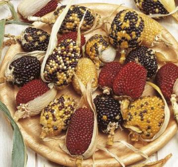 Siermais_little Jewels_mix