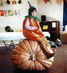 Pompoen Atlantic Giant reuzenpompoen