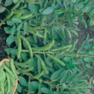 Product showcase image from staged upload